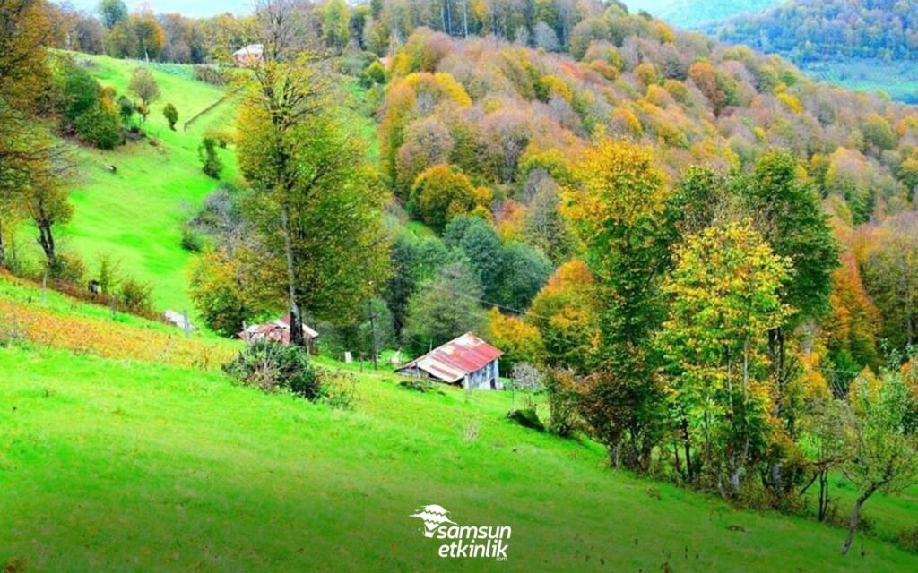 Kadırga Yaylası’ndan Aslandamı Yaylası’na Geçiş