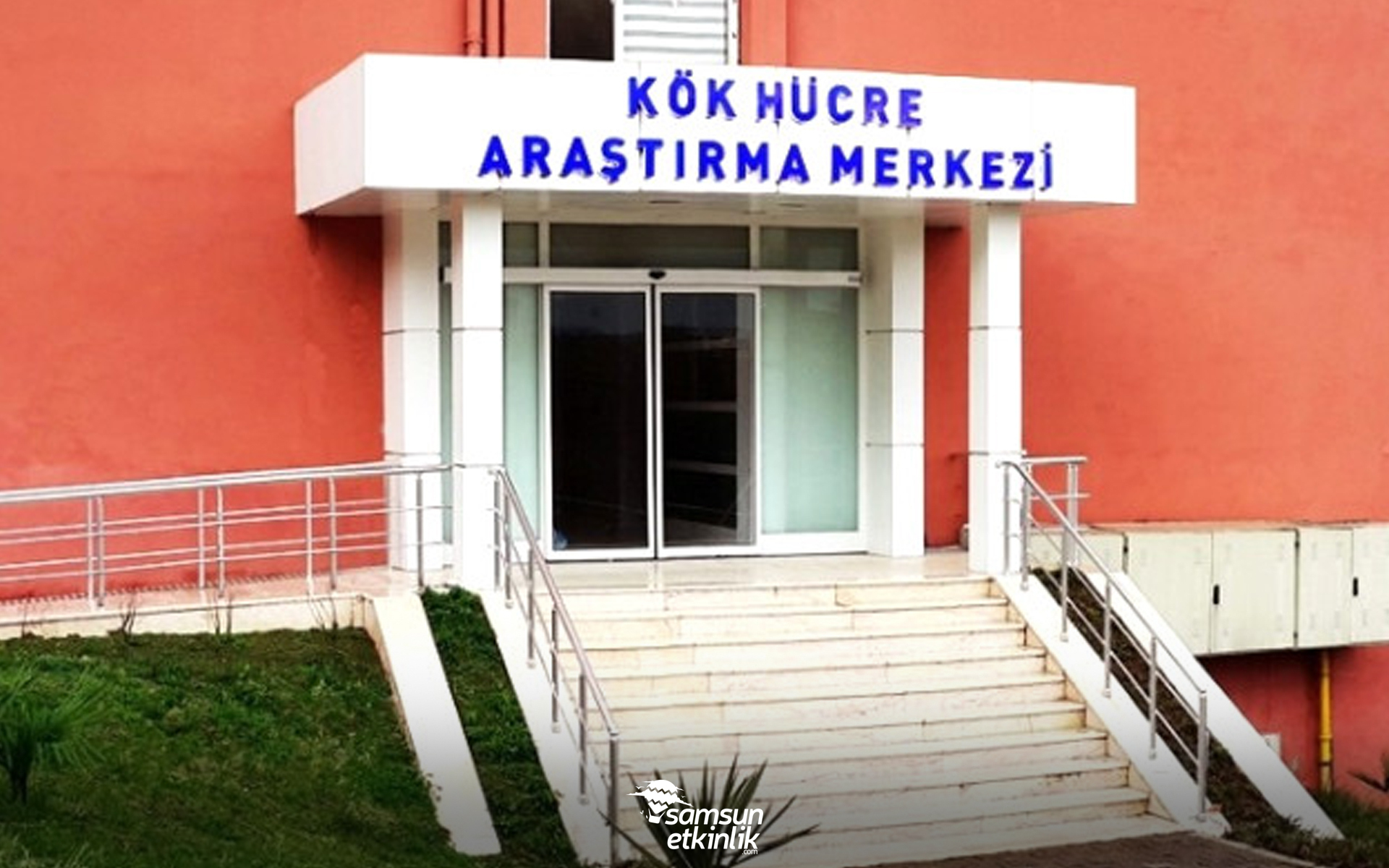 Ondokuzmayıs Üniversitesi Kök Hücre Uygulama ve Araştırma Merkezi