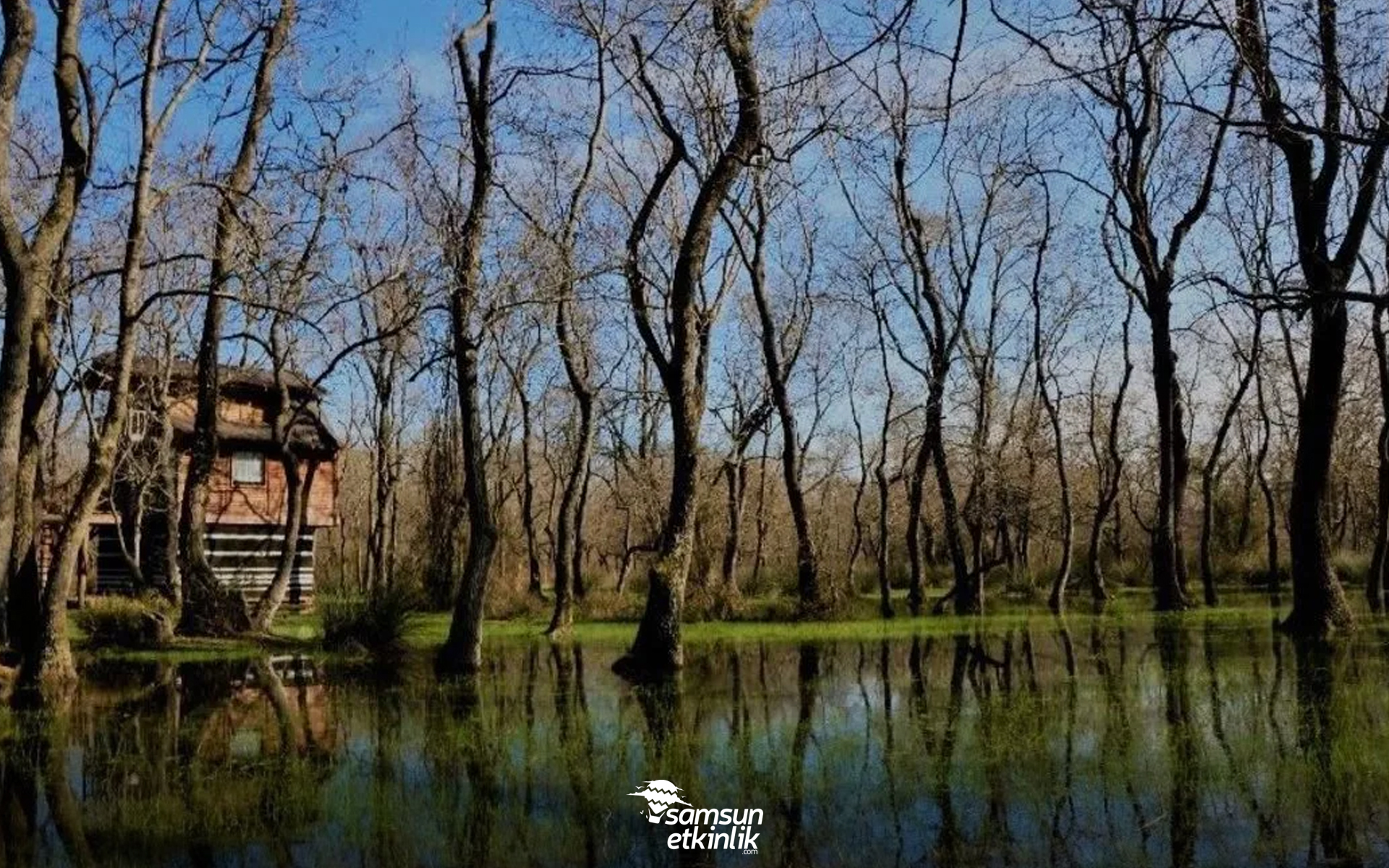 Farklılığın Kendisi Galeriç Ormanı