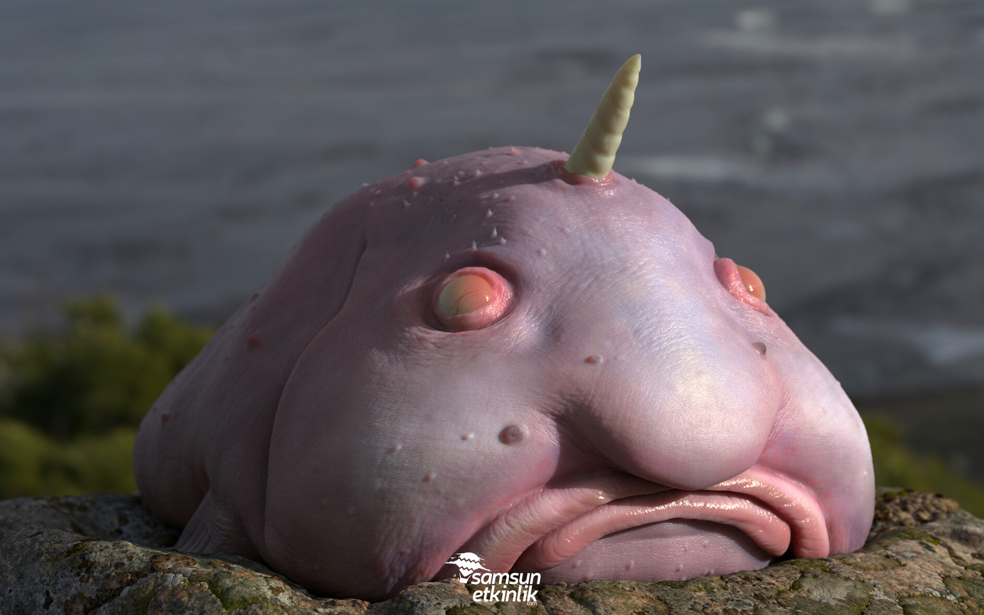 Blobfish