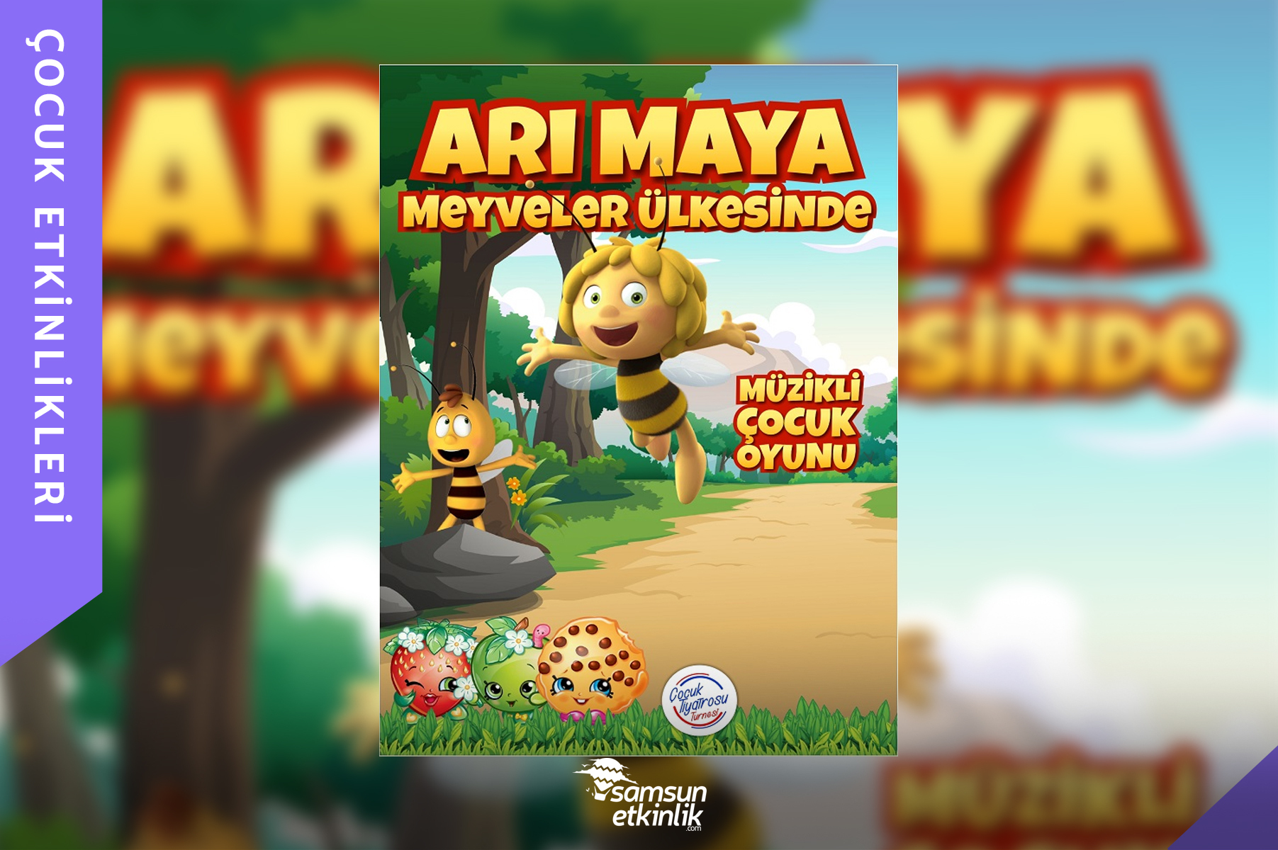 Arı Maya Meyveler Ülkesinde