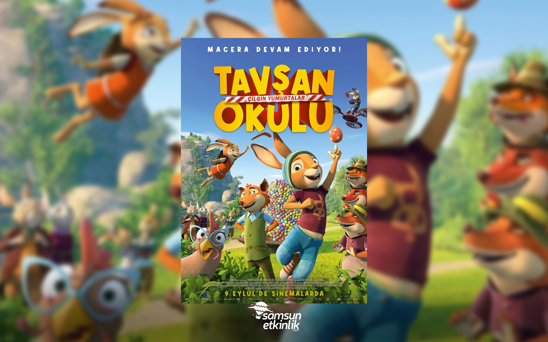 Tavşan Okulu: Çılgın Yumurtalar