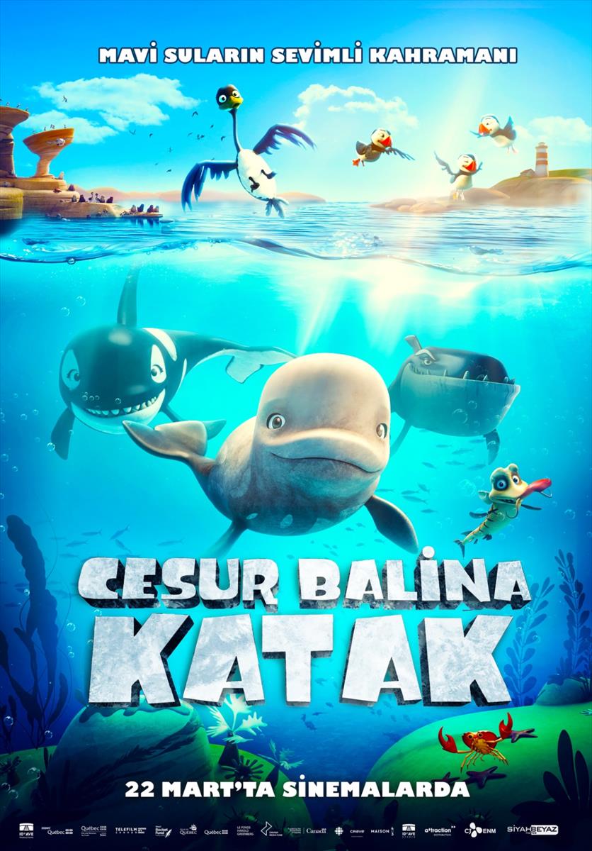 HO00006352_638458346052586965_cesur-balina-katak