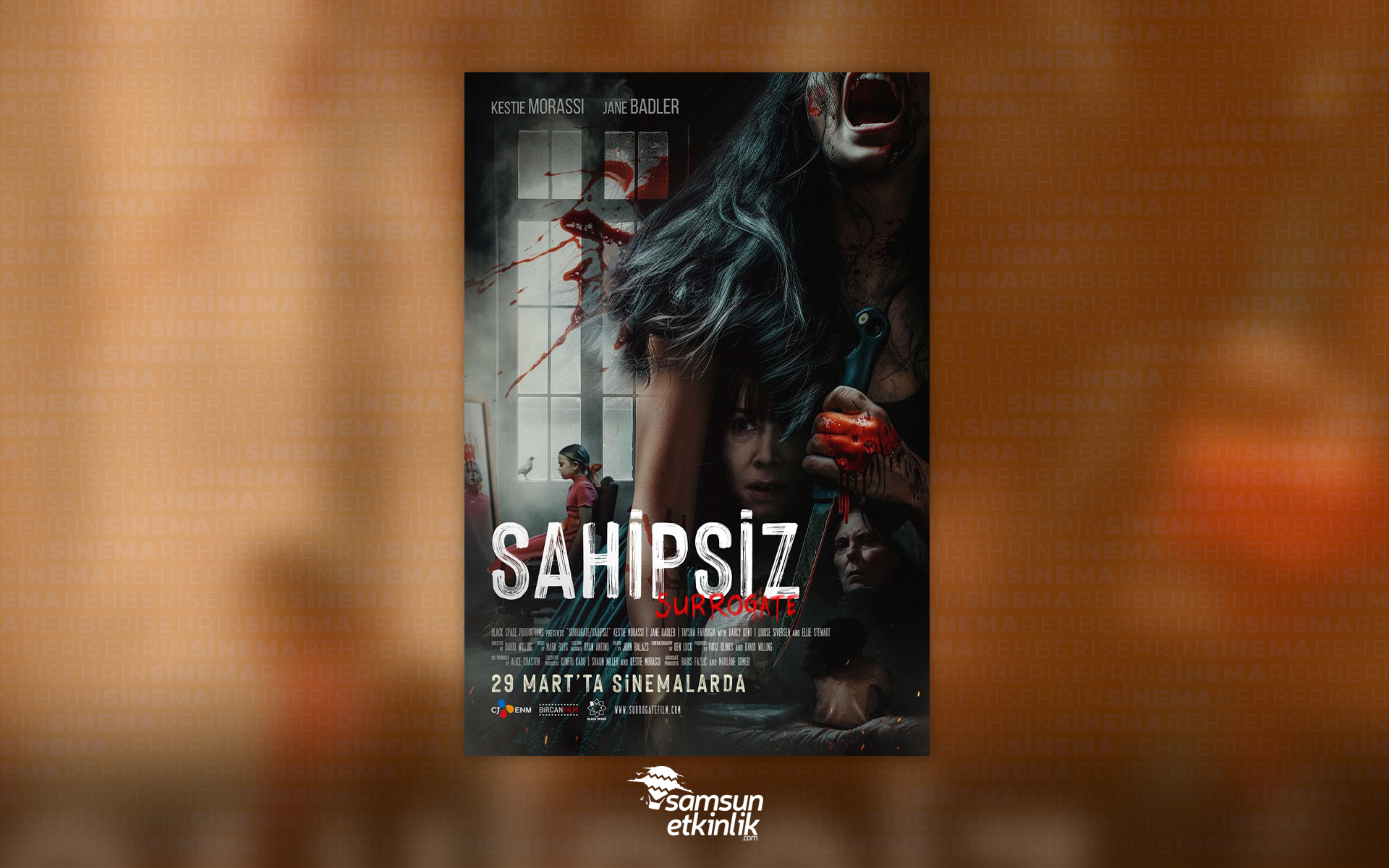 Sahipsiz