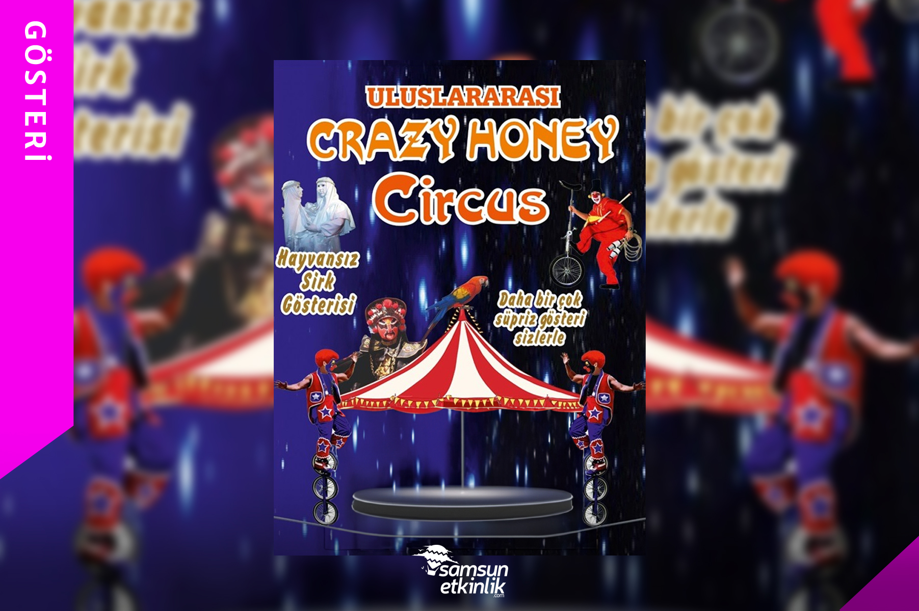 Crazy Honey Circus Salon Sirki
