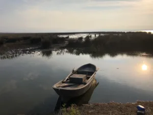 Balık Gölü