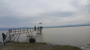 Balık Gölü
