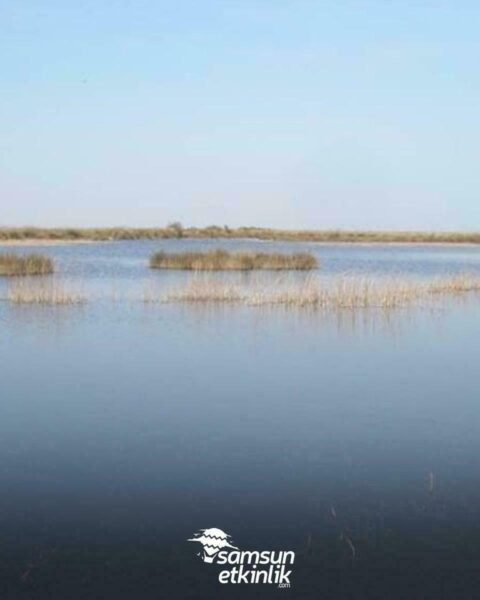 Balık Gölü