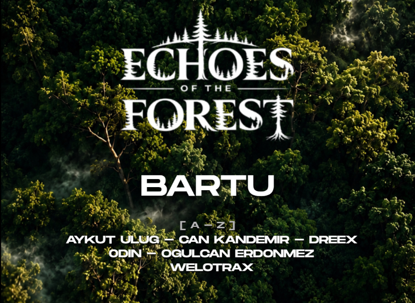 Echoes Of The Forest