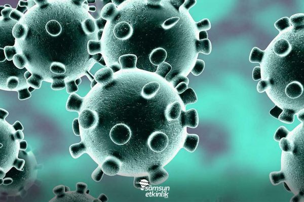 koronavirus